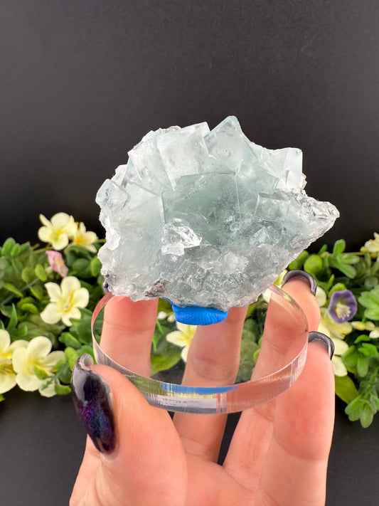 XHL Green Fluorite