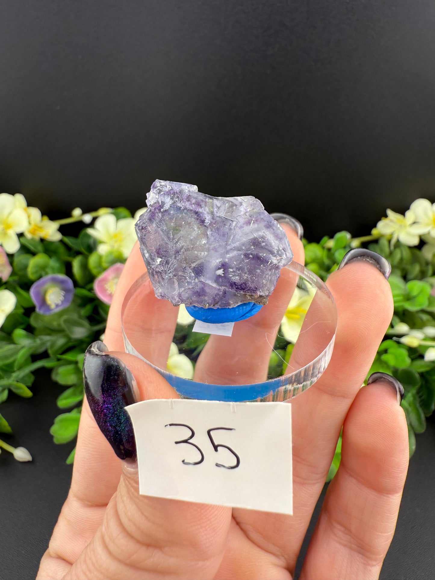 YGX Fluorites (Lot 1)