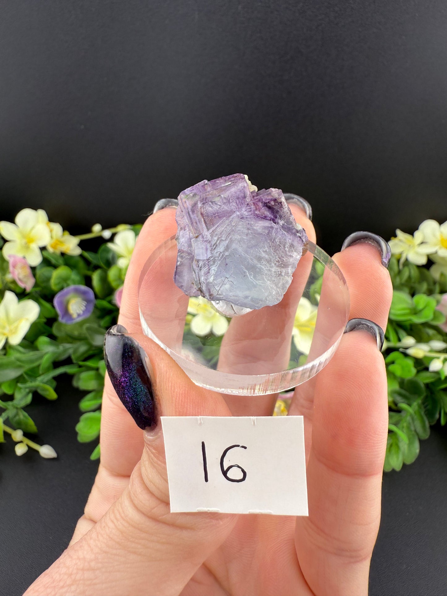 YGX Fluorites (Lot 1)