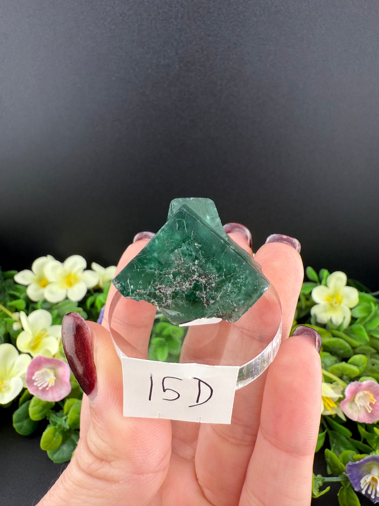 Rogerley Fluorites (Mixed Pockets)