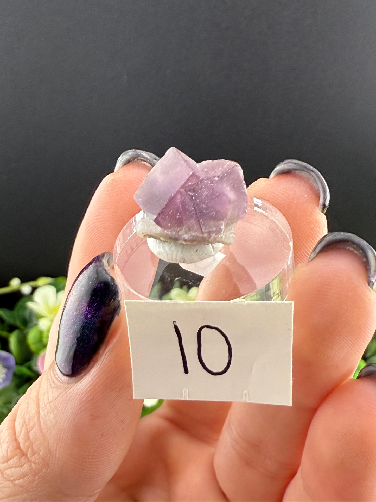 High Quality Purple “Window” Fluorites