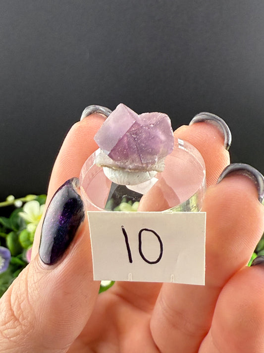 High Quality Purple “Window” Fluorites