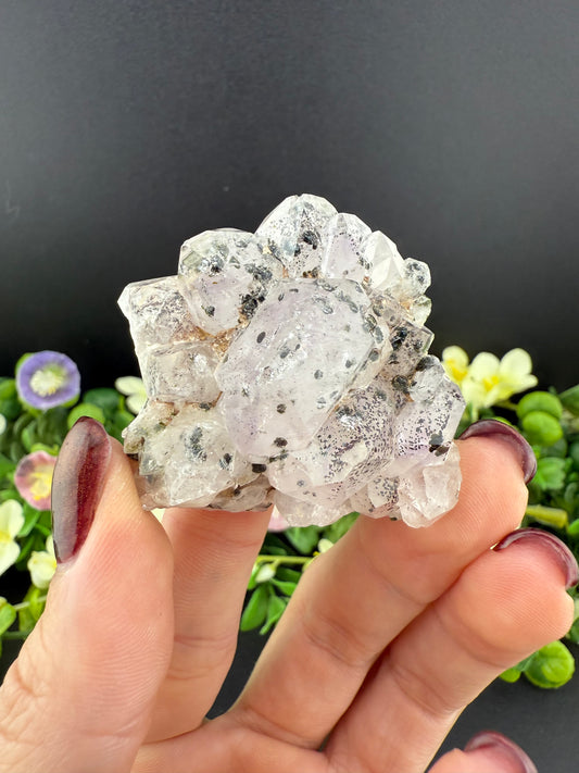 Garden Amethyst w/ Hematite & Epidote Inclusions (Rare)