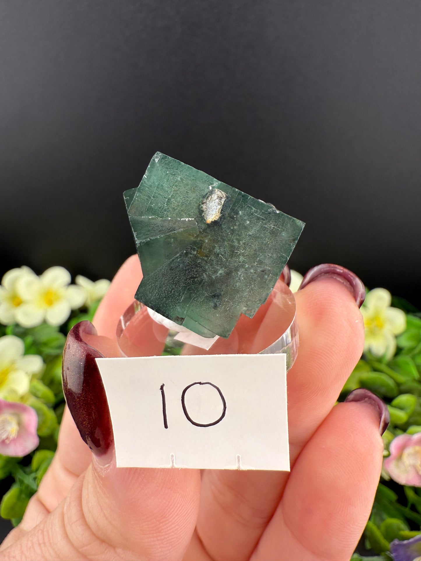 Rogerley Fluorites (Mixed Pockets)