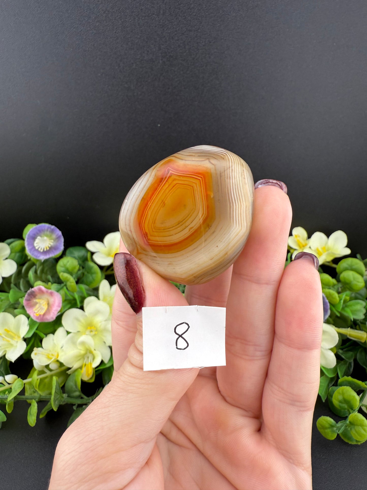 Large Sardonyx Tumbles