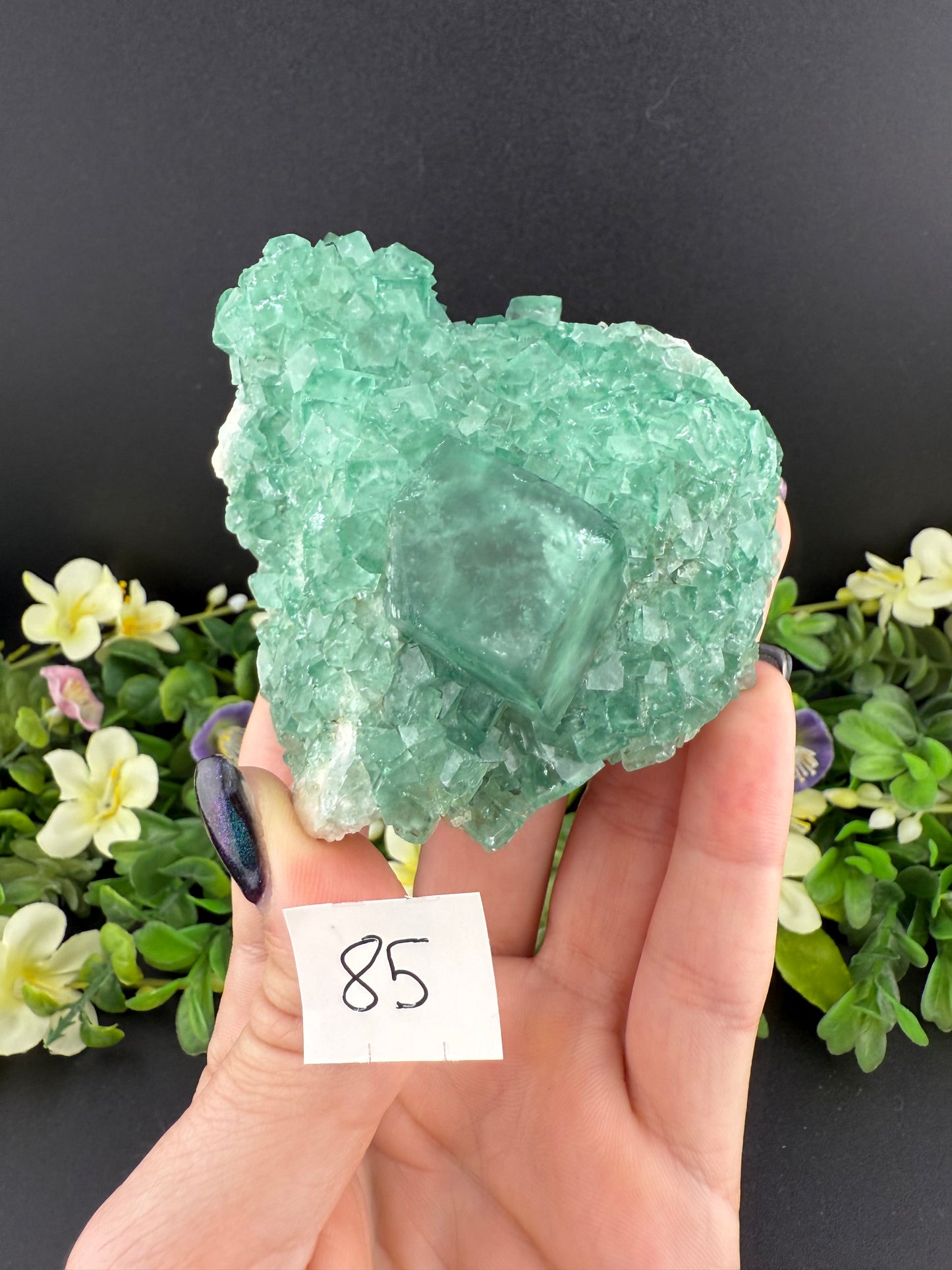 Daylight Fluorite Clusters