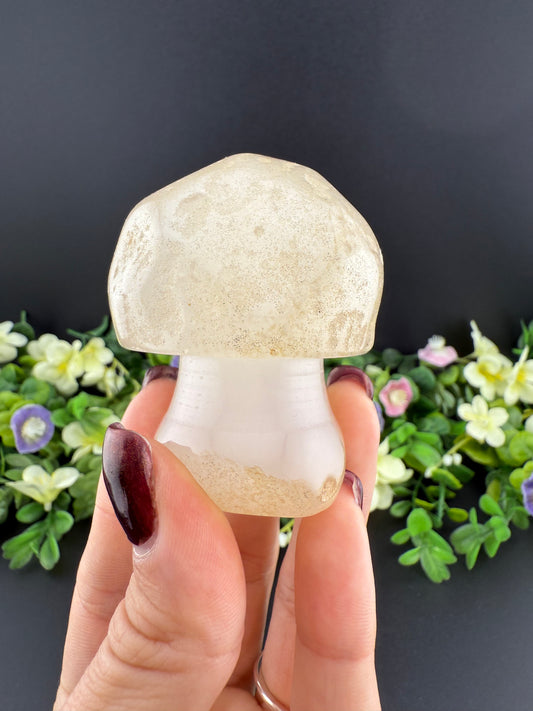 Clear Quartz Mushroom