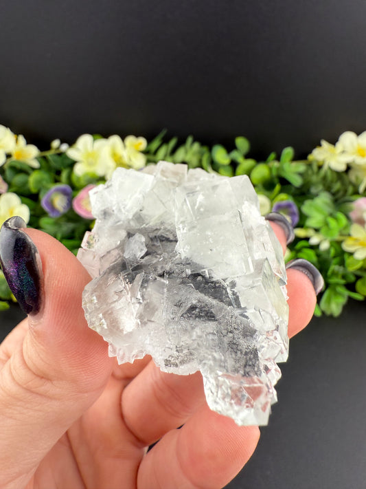 XHL Fluorite on Quartz
