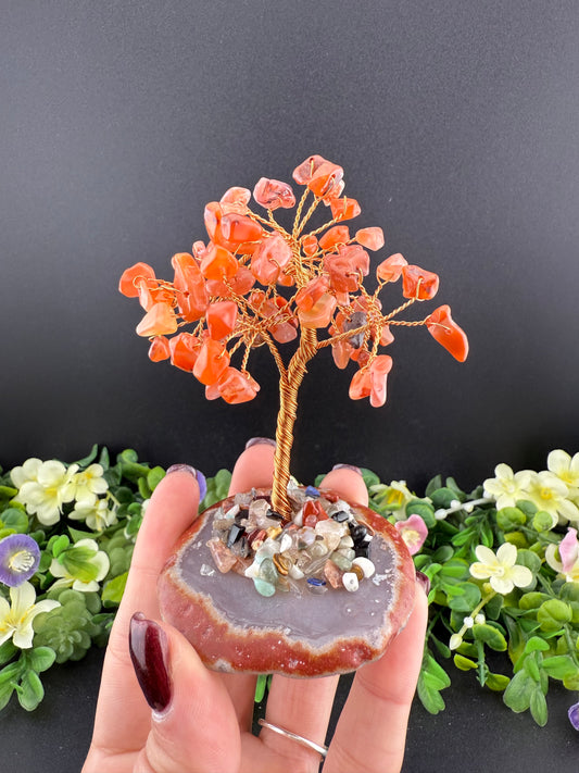 Carnelian Money Tree