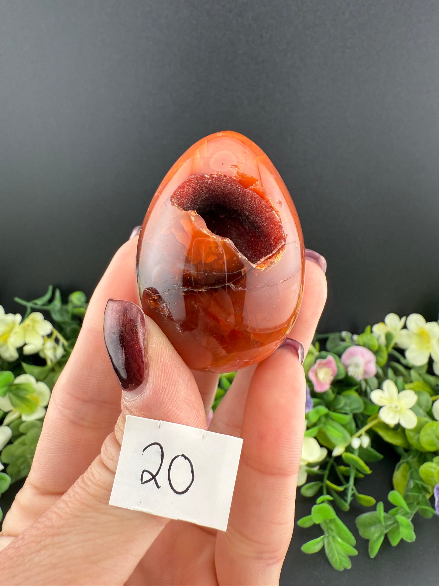 Druzy Carnelian Eggs