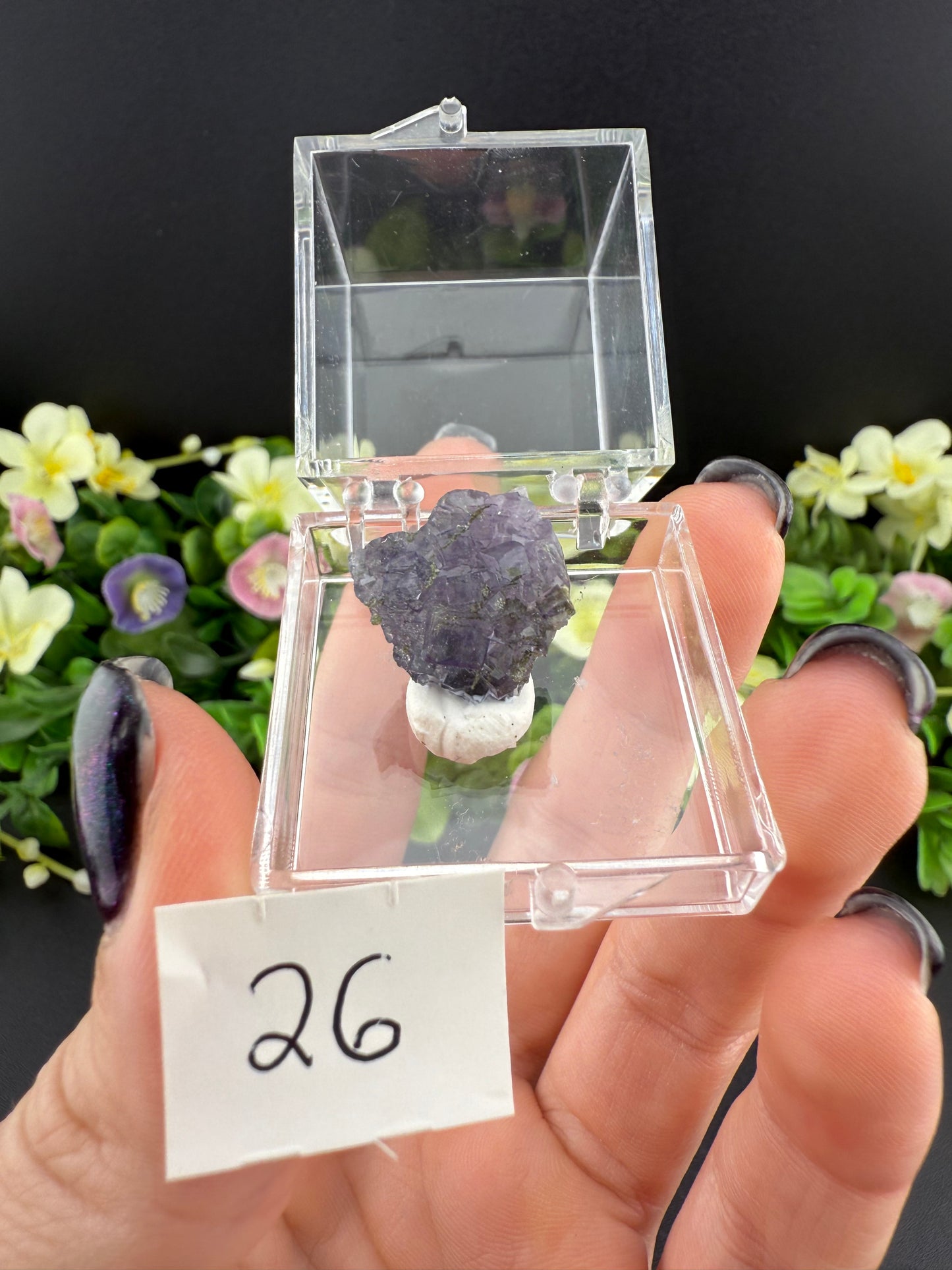 YGX Fluorites (Lot 1)