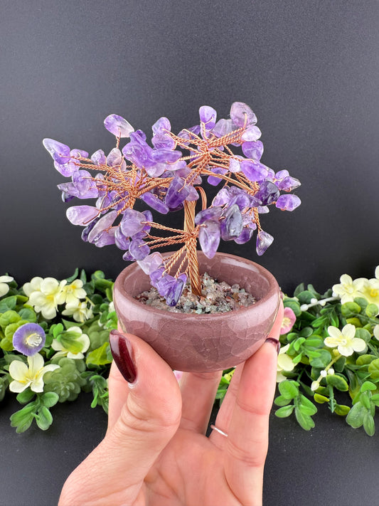 Amethyst Money Tree
