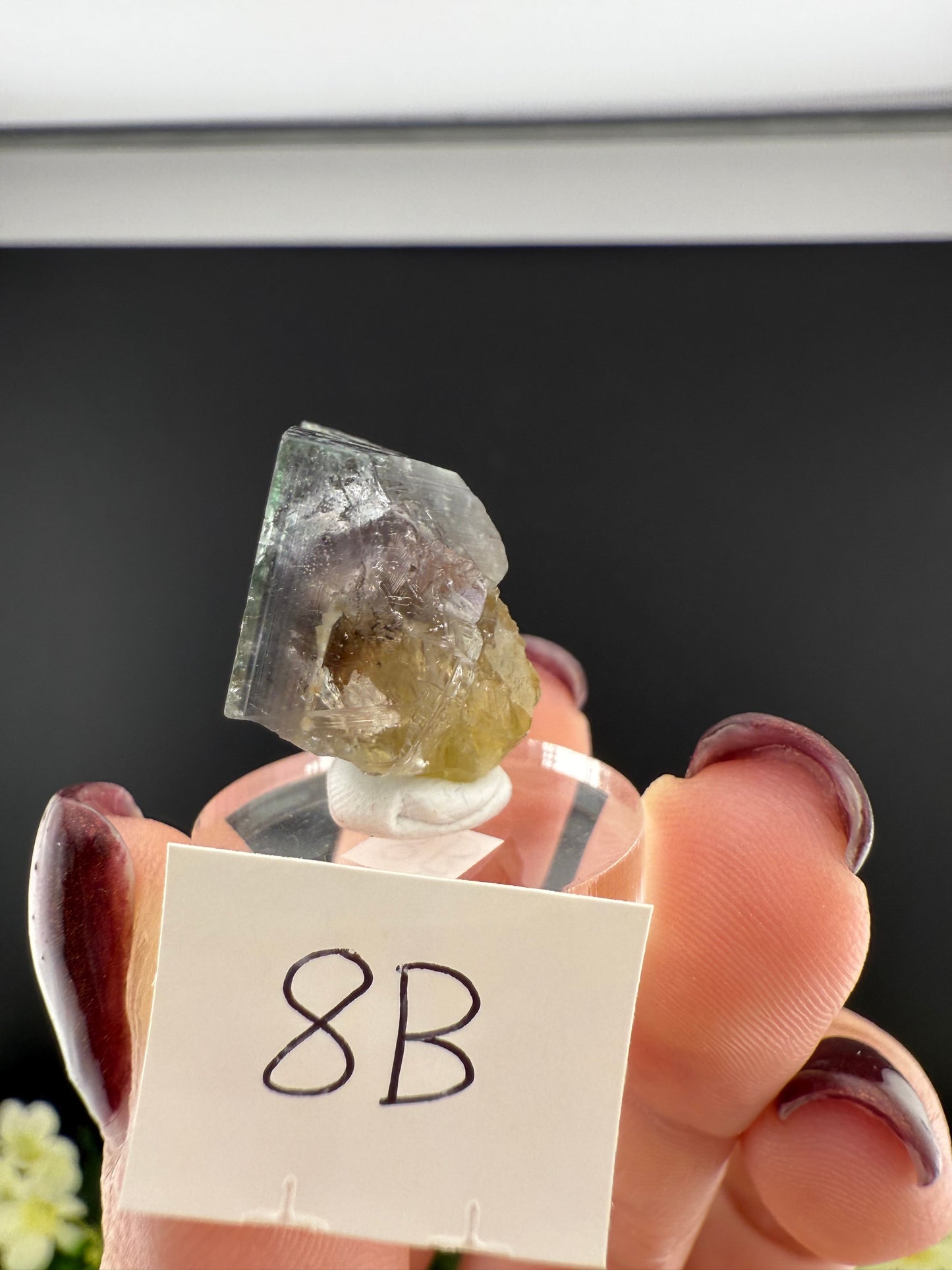 Rogerley Fluorites (Mixed Pockets)