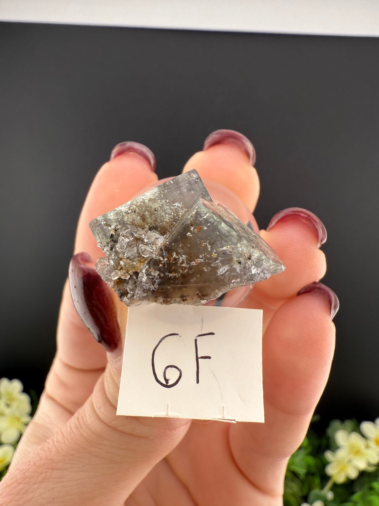 Rogerley Fluorites (Mixed Pockets)