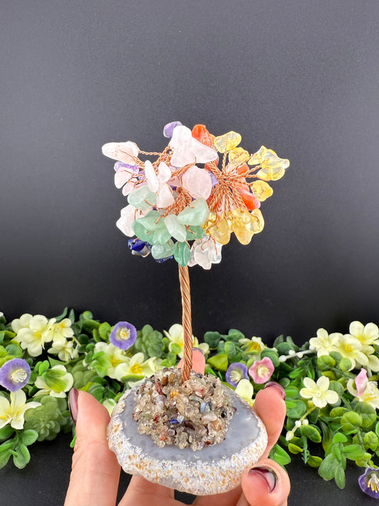 7-Chakra Money Tree