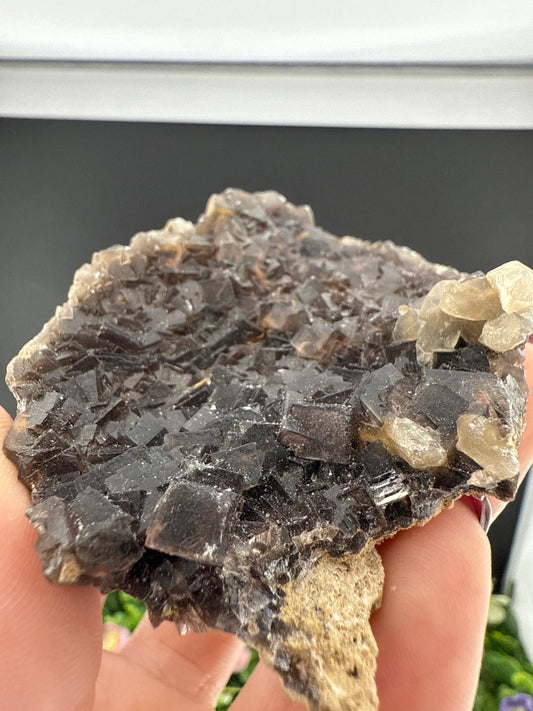Black Rose Fluorite
