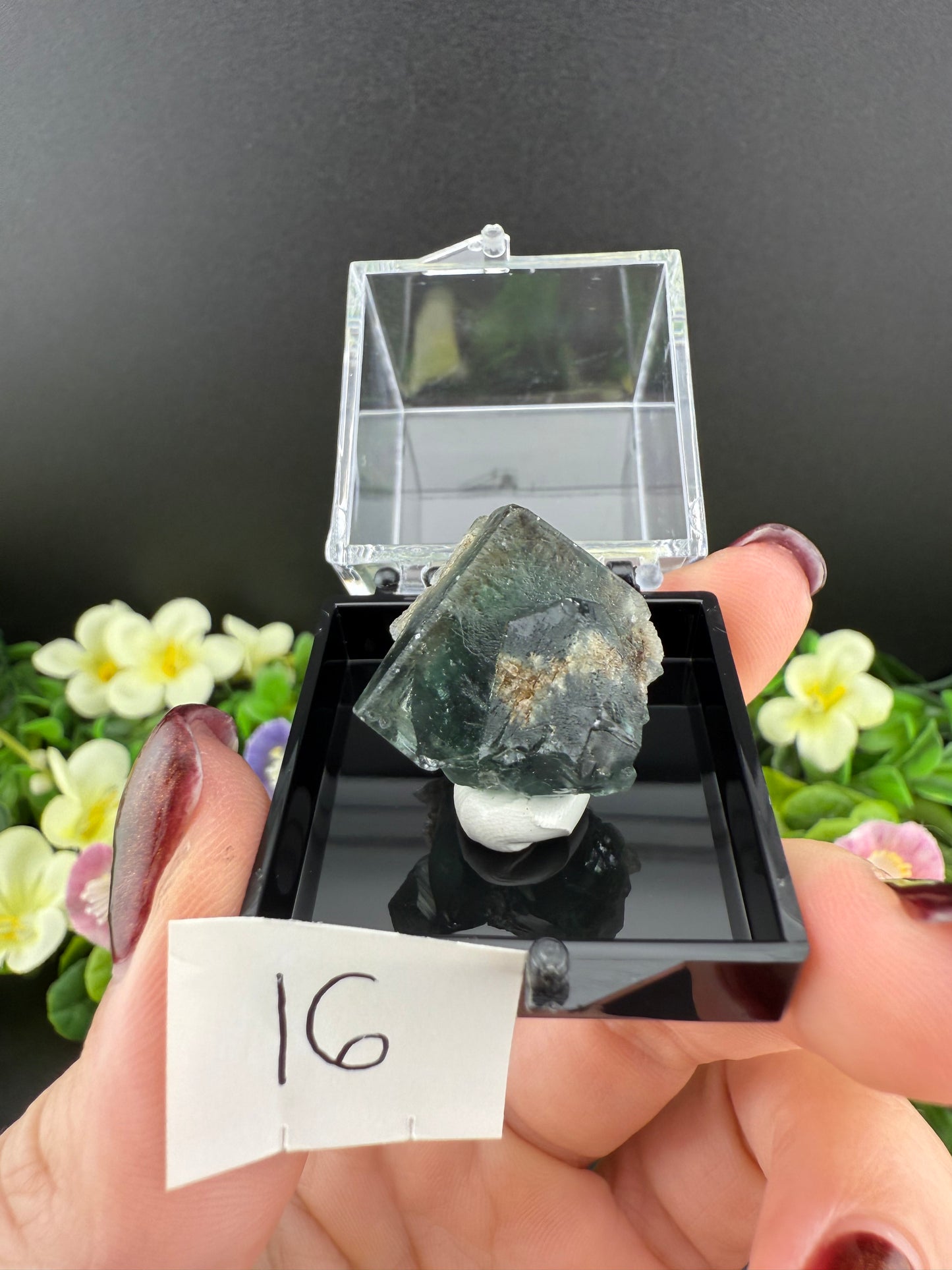 Milky Way Fluorites