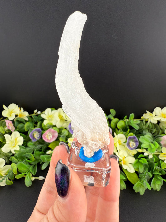 Ram’s Horn Selenite