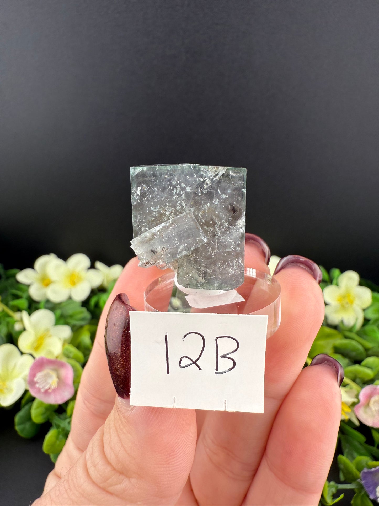 Rogerley Fluorites (Mixed Pockets)