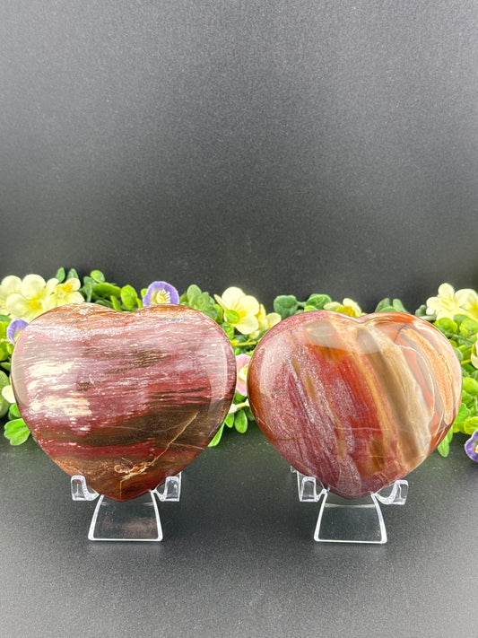 Big Petrified Wood Hearts