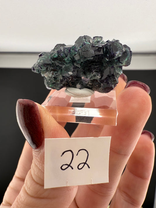 Small Okorusu Fluorite Clusters