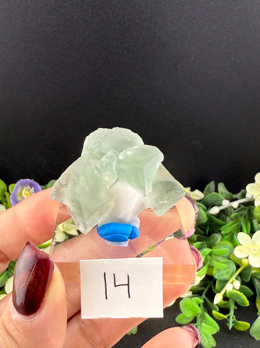 Fluorites on Candle Quartz