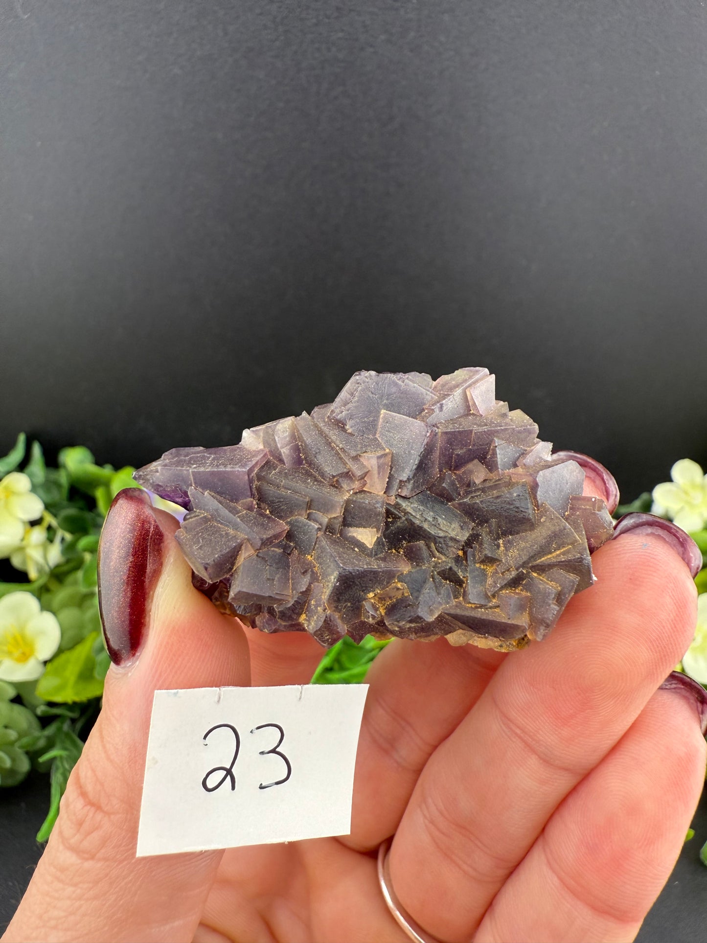 Purple “Window” Fluorites