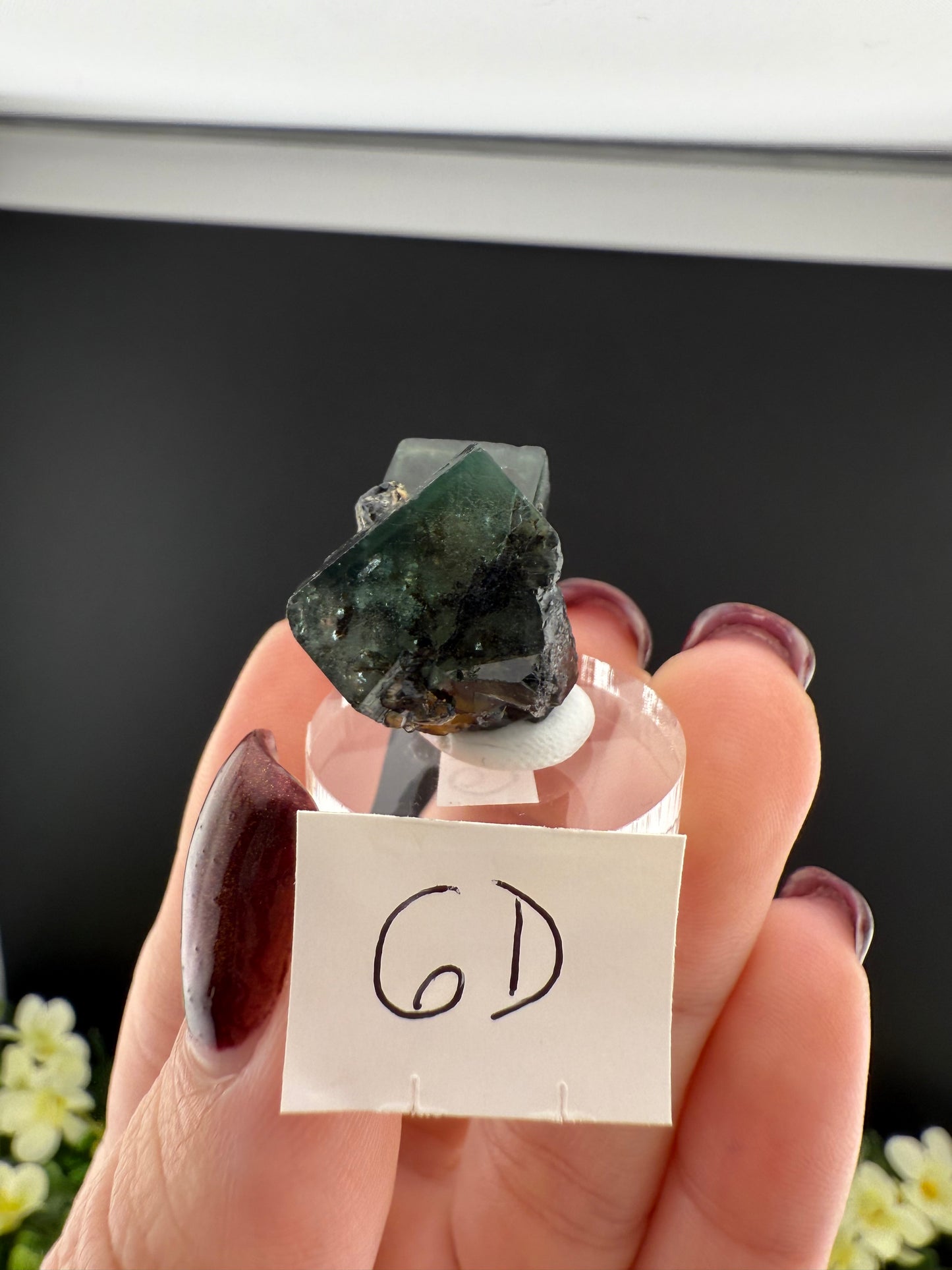 Rogerley Fluorites (Mixed Pockets)