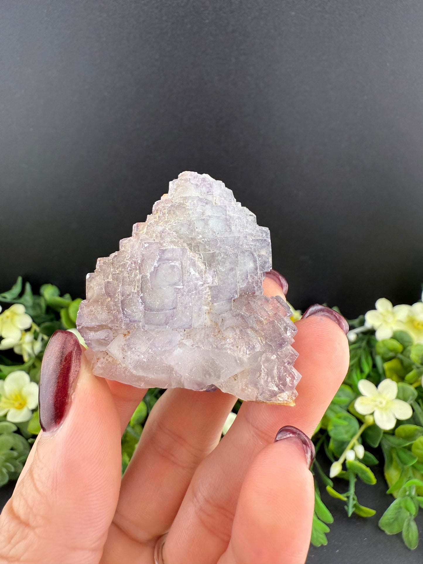 Stepped Fluorite