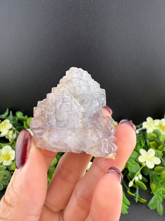 Stepped Fluorite