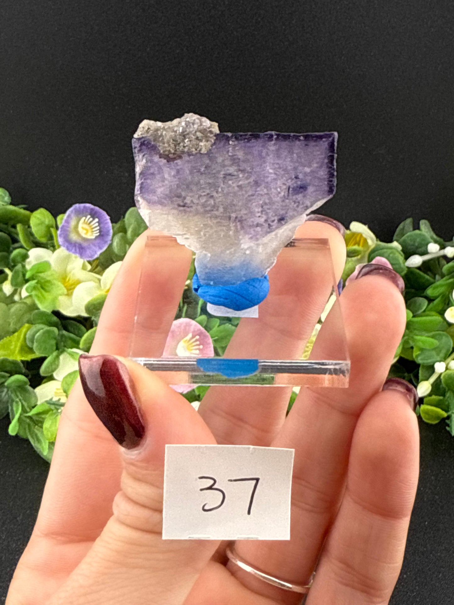 Elmwood Fluorites
