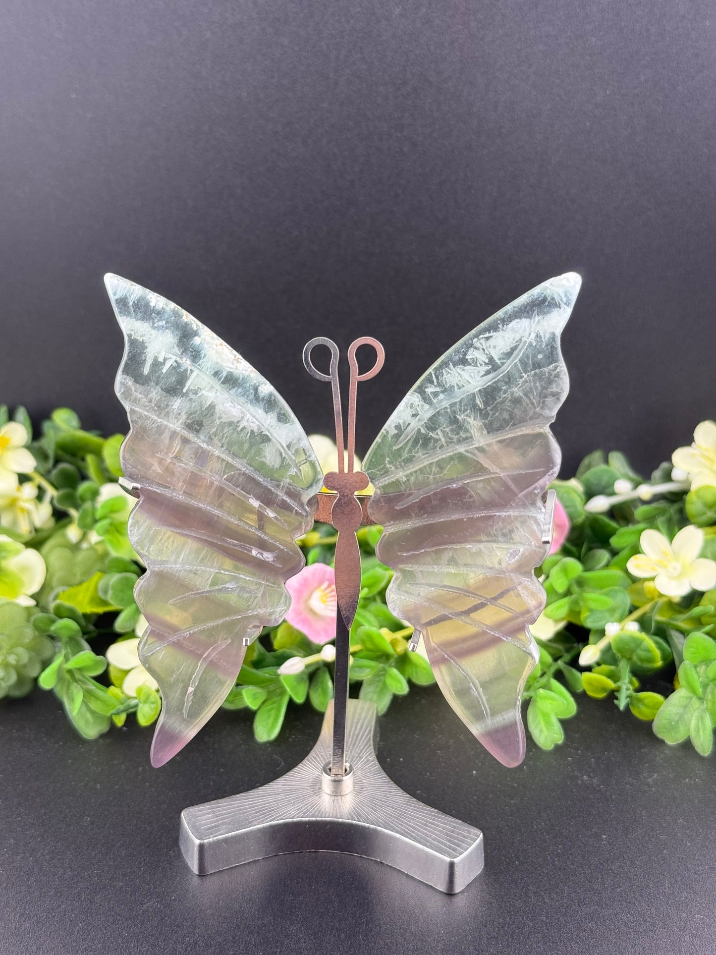 Fluorite Butterfly Wings
