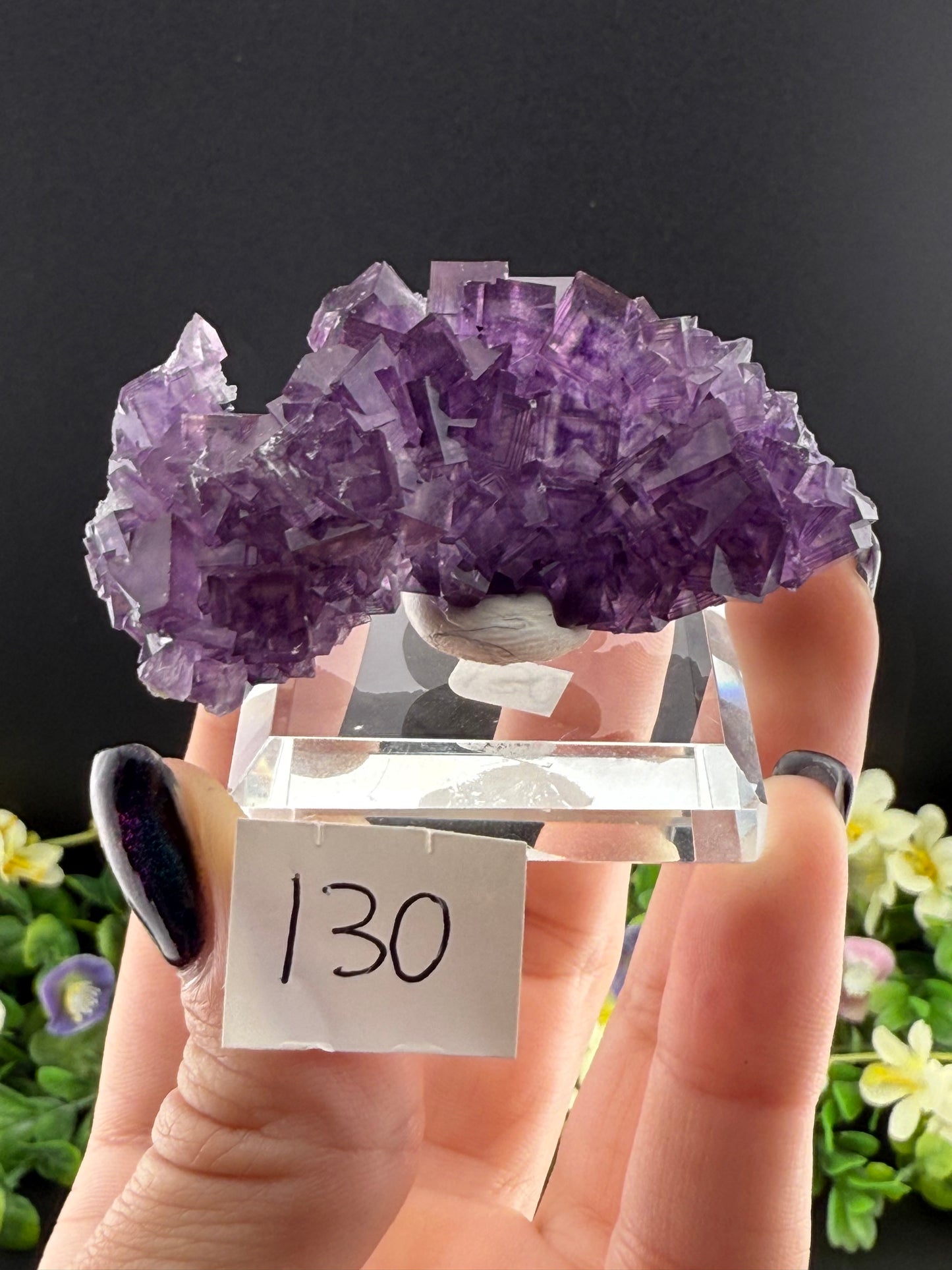 High Quality Purple “Window” Fluorites