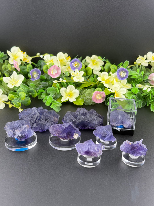 Blue Petroleum Fluorites