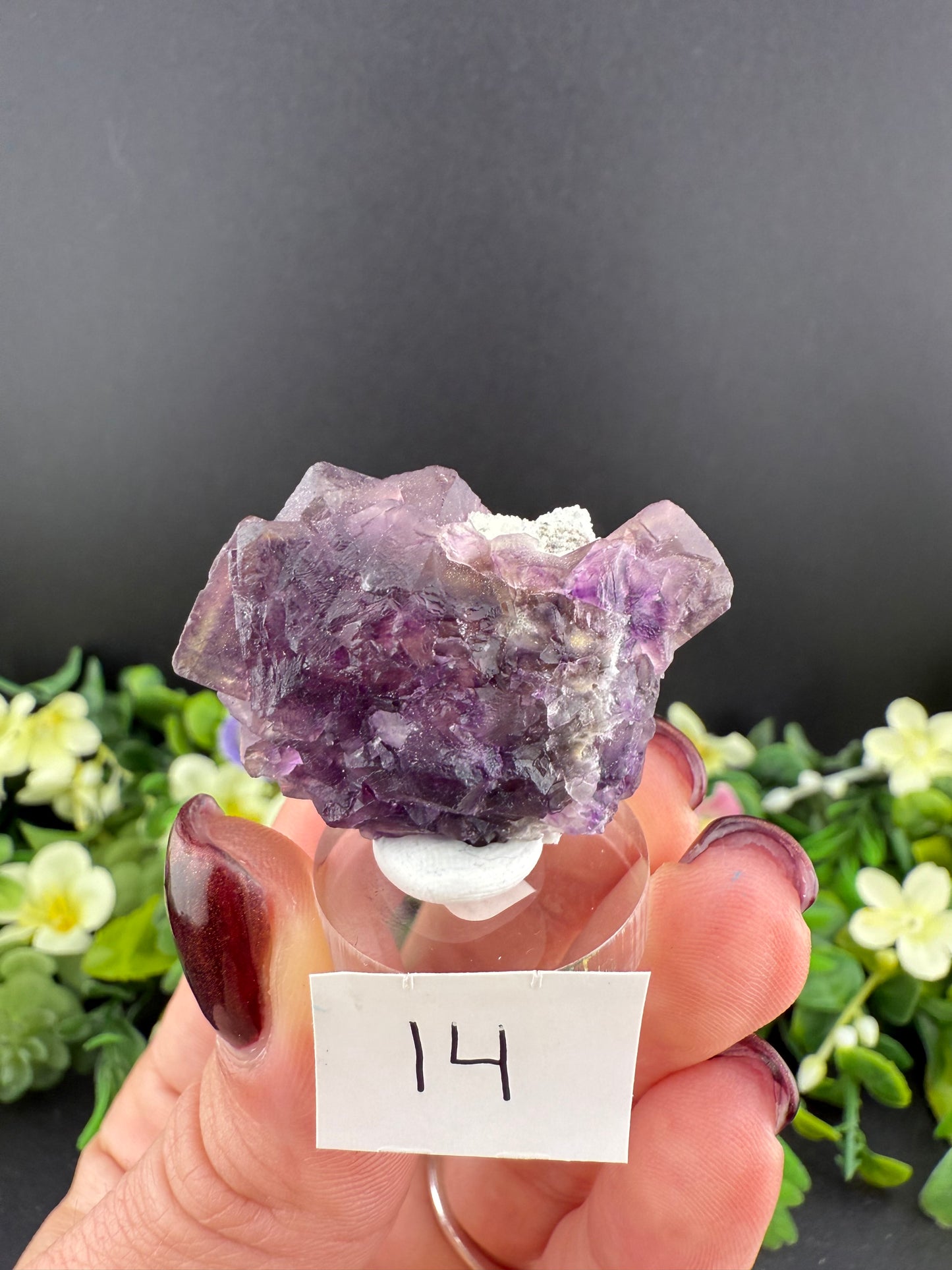 Purple “Window” Fluorites