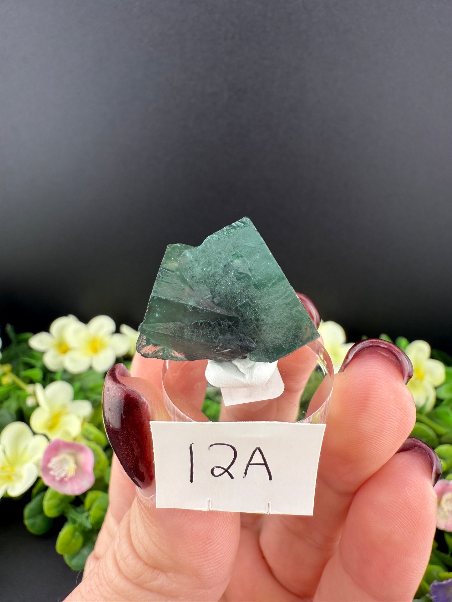 Rogerley Fluorites (Mixed Pockets)