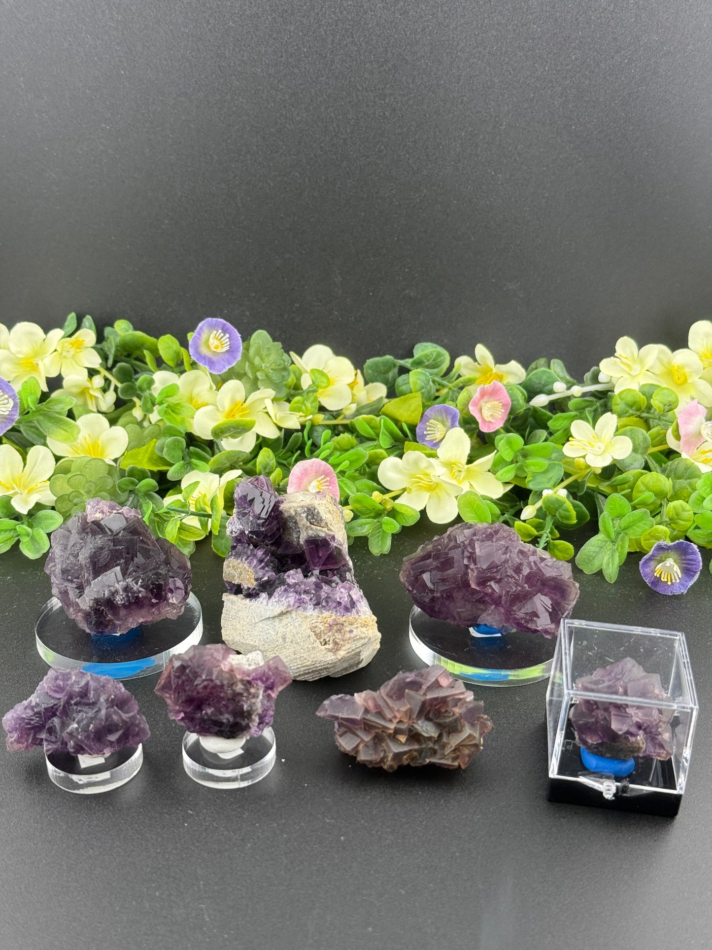 Purple “Window” Fluorites