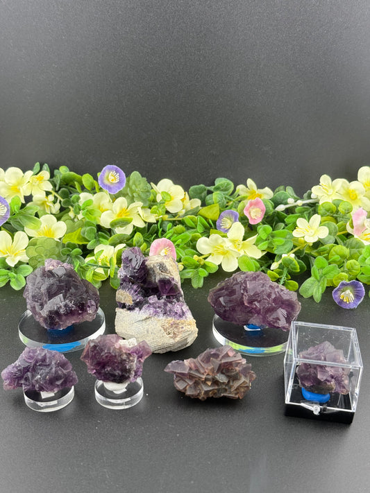 Purple “Window” Fluorites