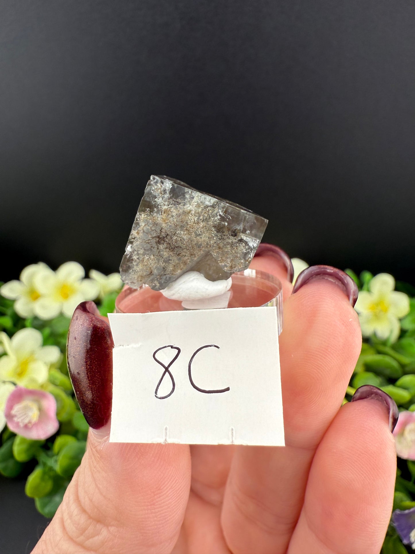 Rogerley Fluorites (Mixed Pockets)