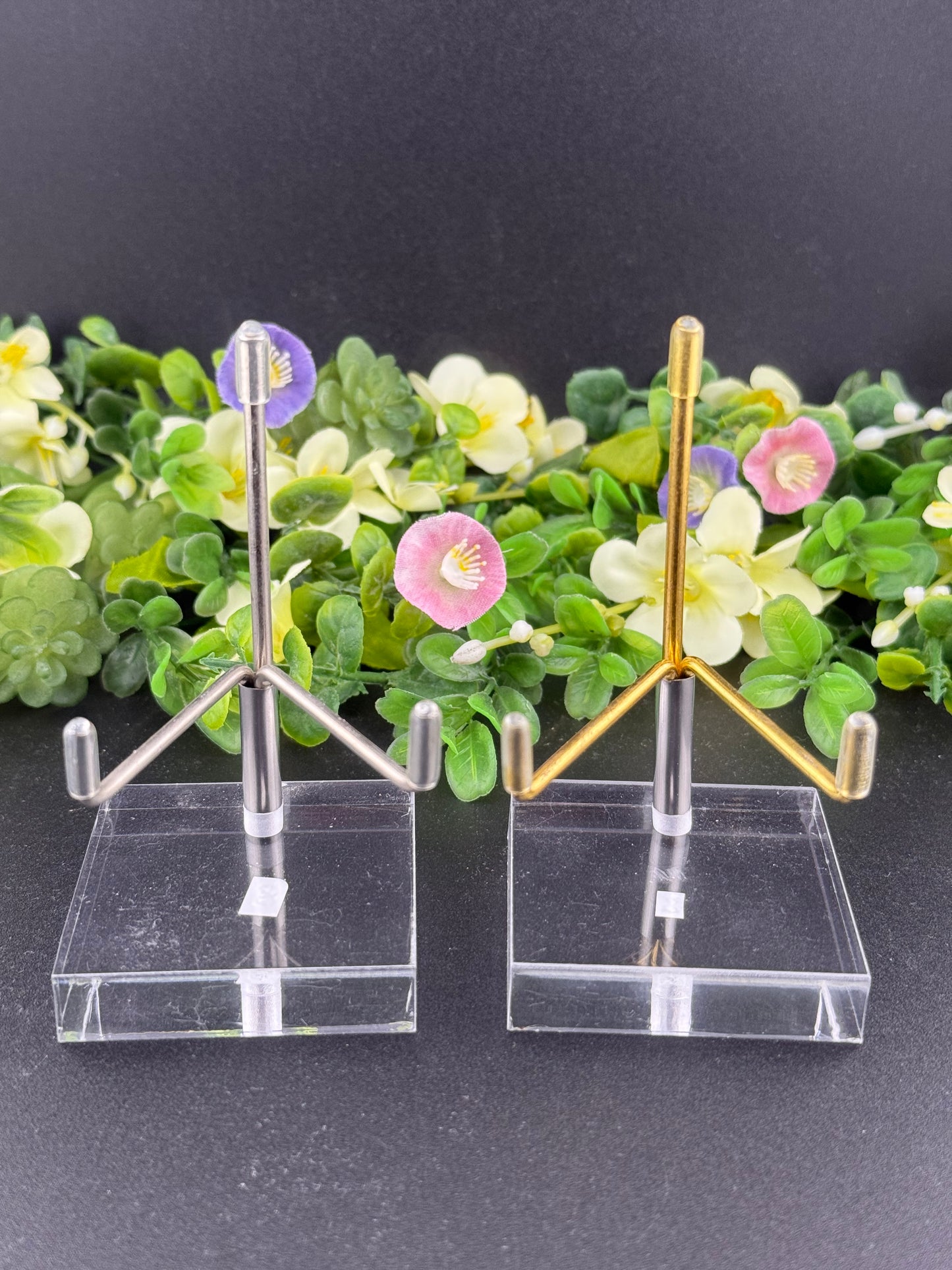 Specimen Stands