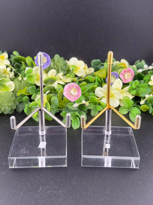 Specimen Stands