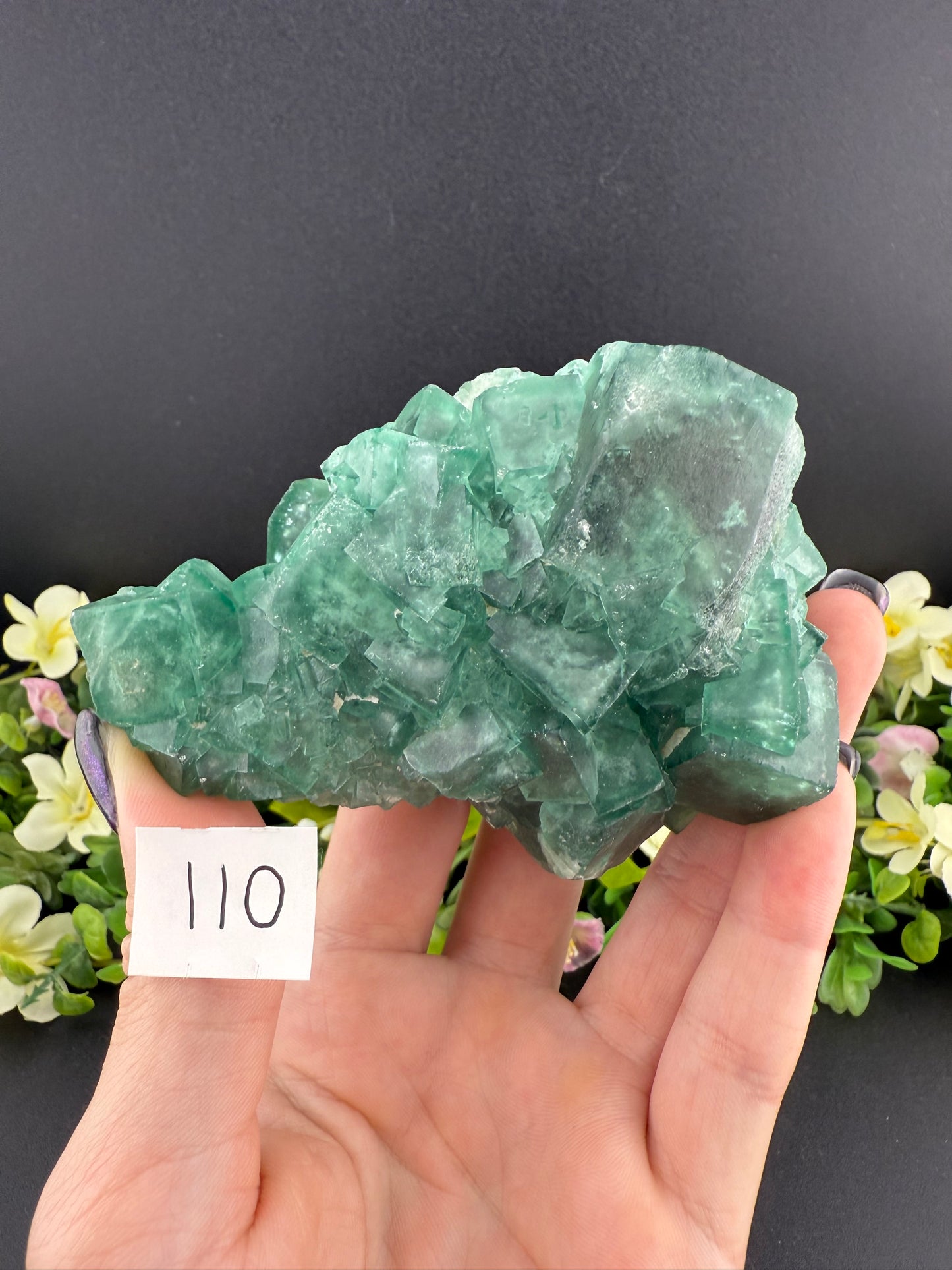 Daylight Fluorite Clusters