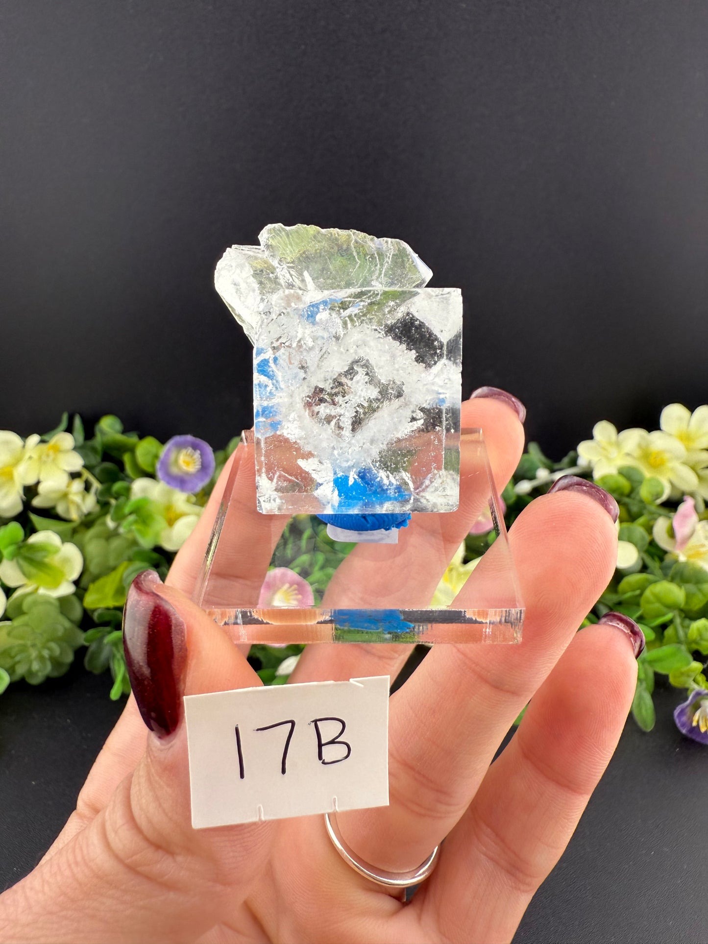 Clear Cubic Fluorite Specimens