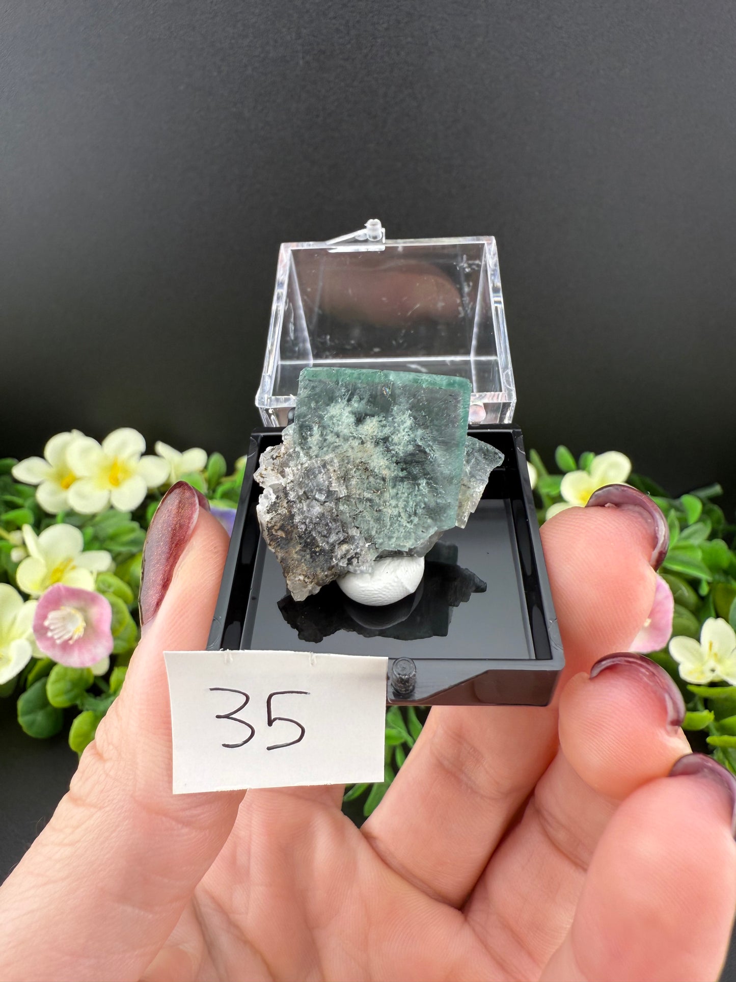 Milky Way Fluorites