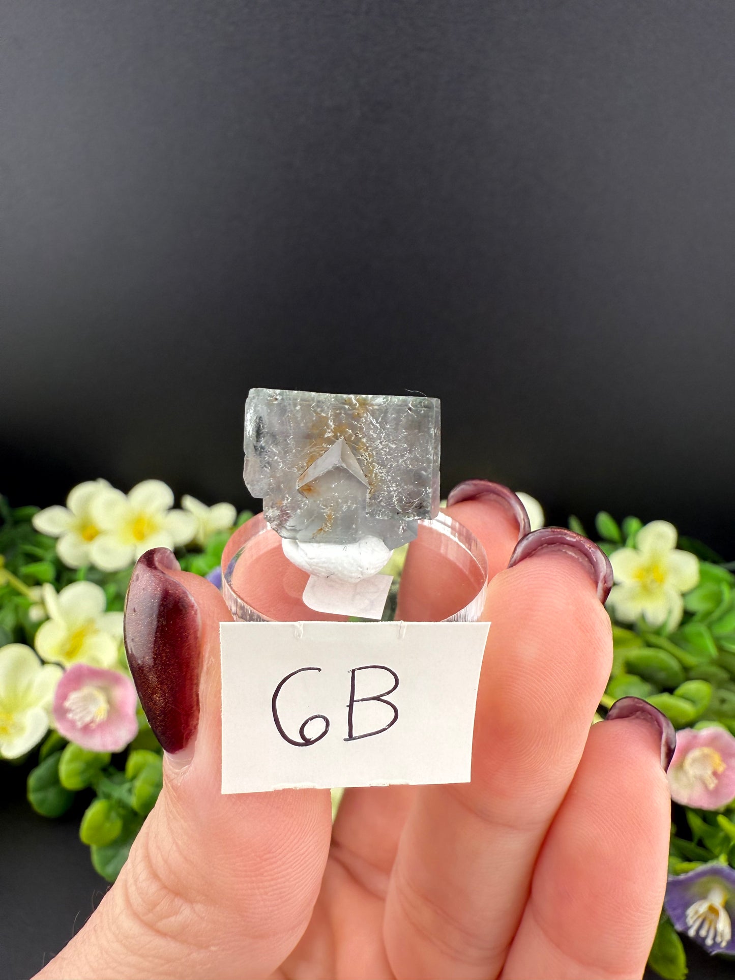 Rogerley Fluorites (Mixed Pockets)
