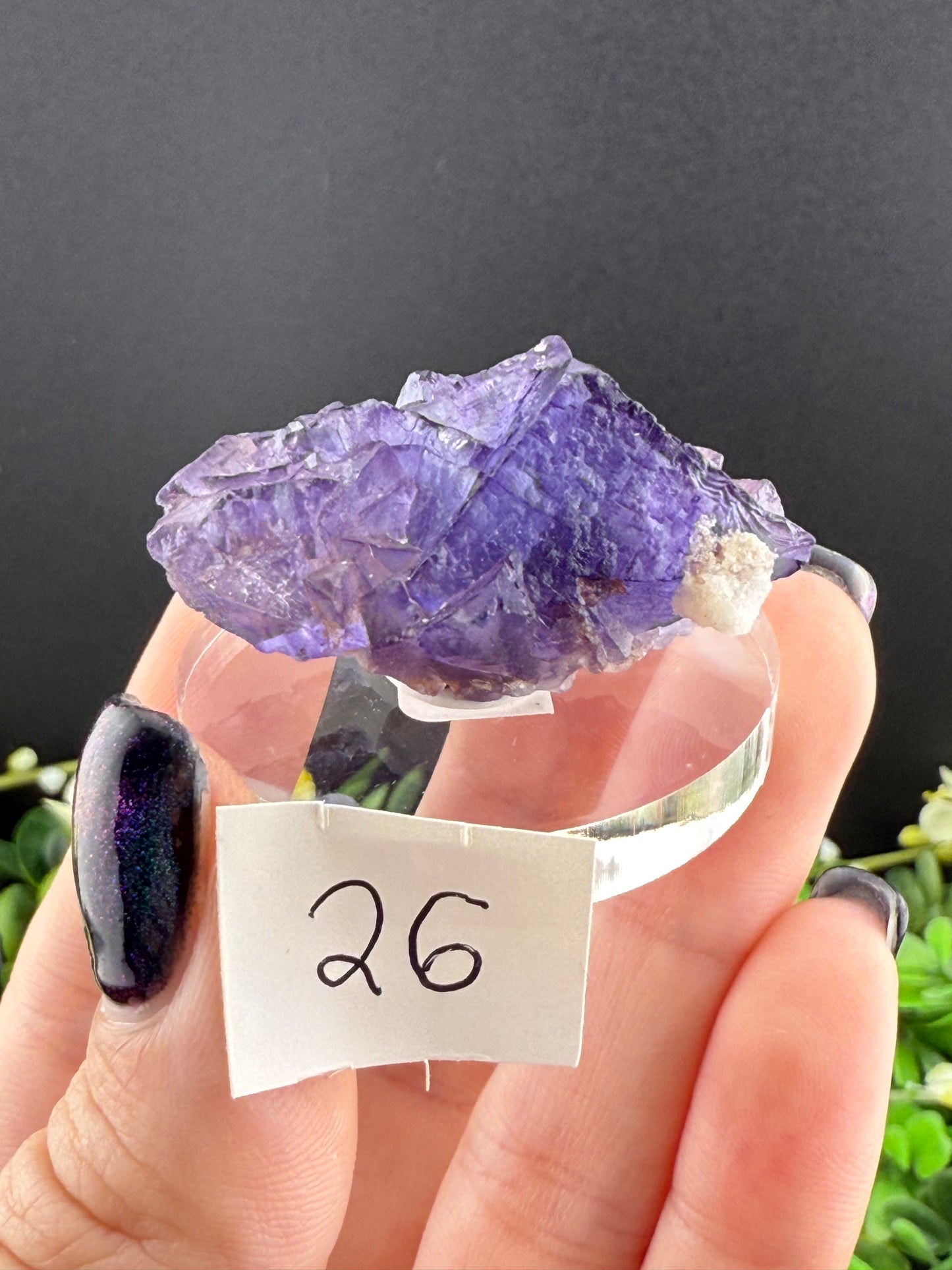 Blue Petroleum Fluorites