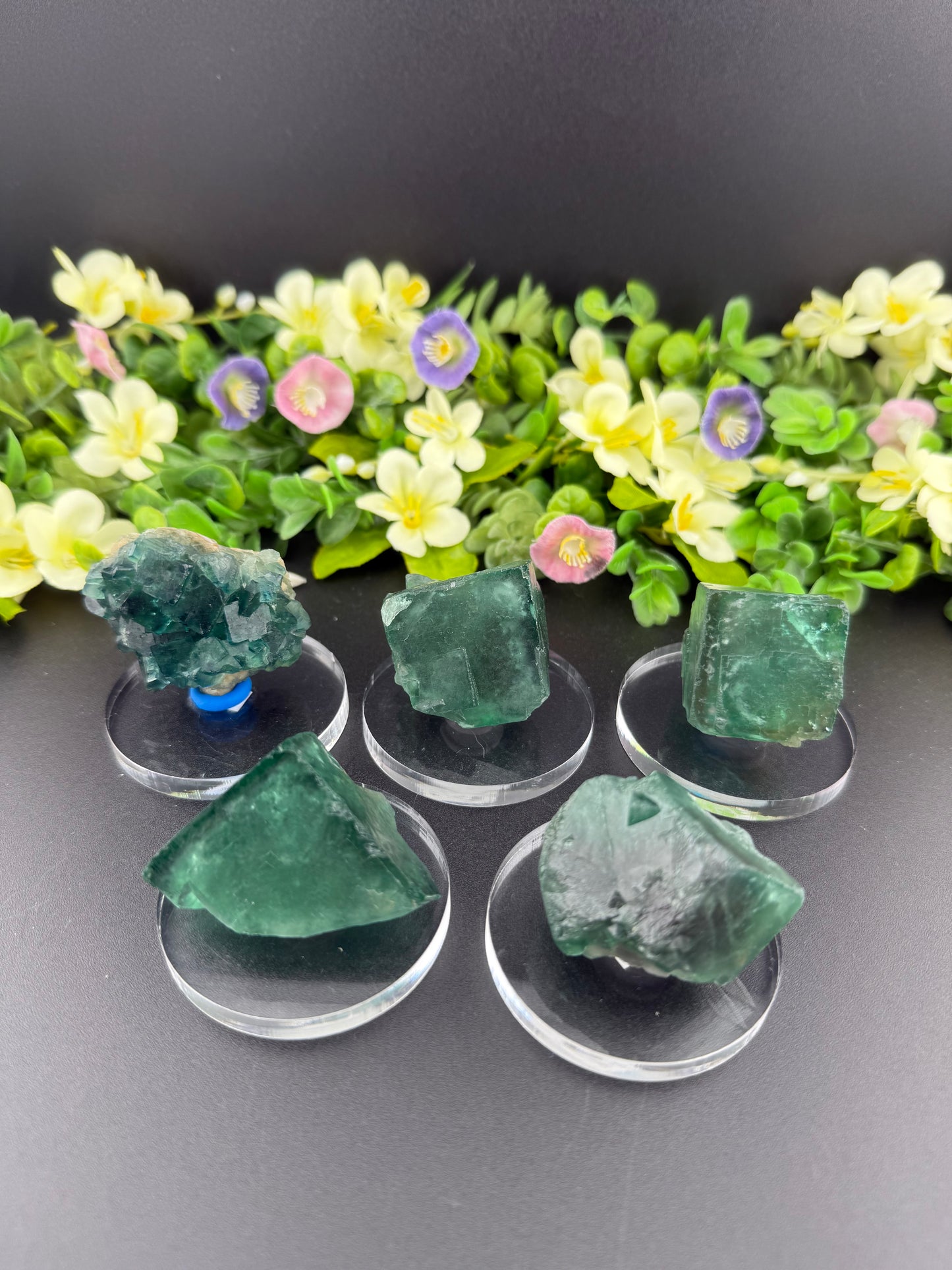 Daylight Fluorite Floaters on Stands