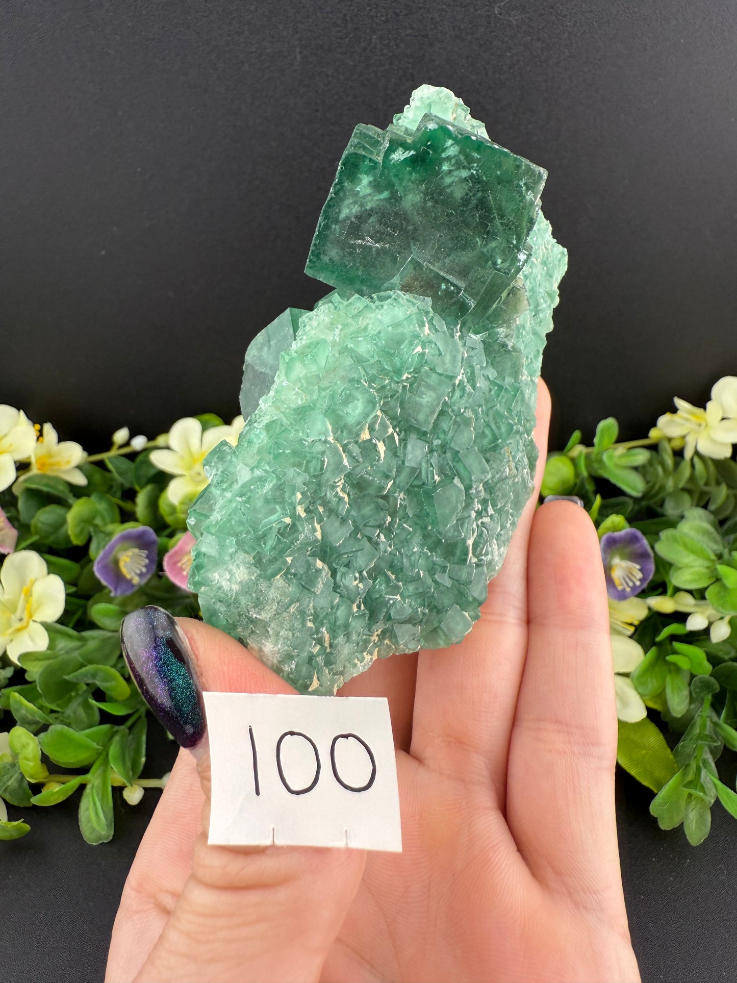Daylight Fluorite Clusters