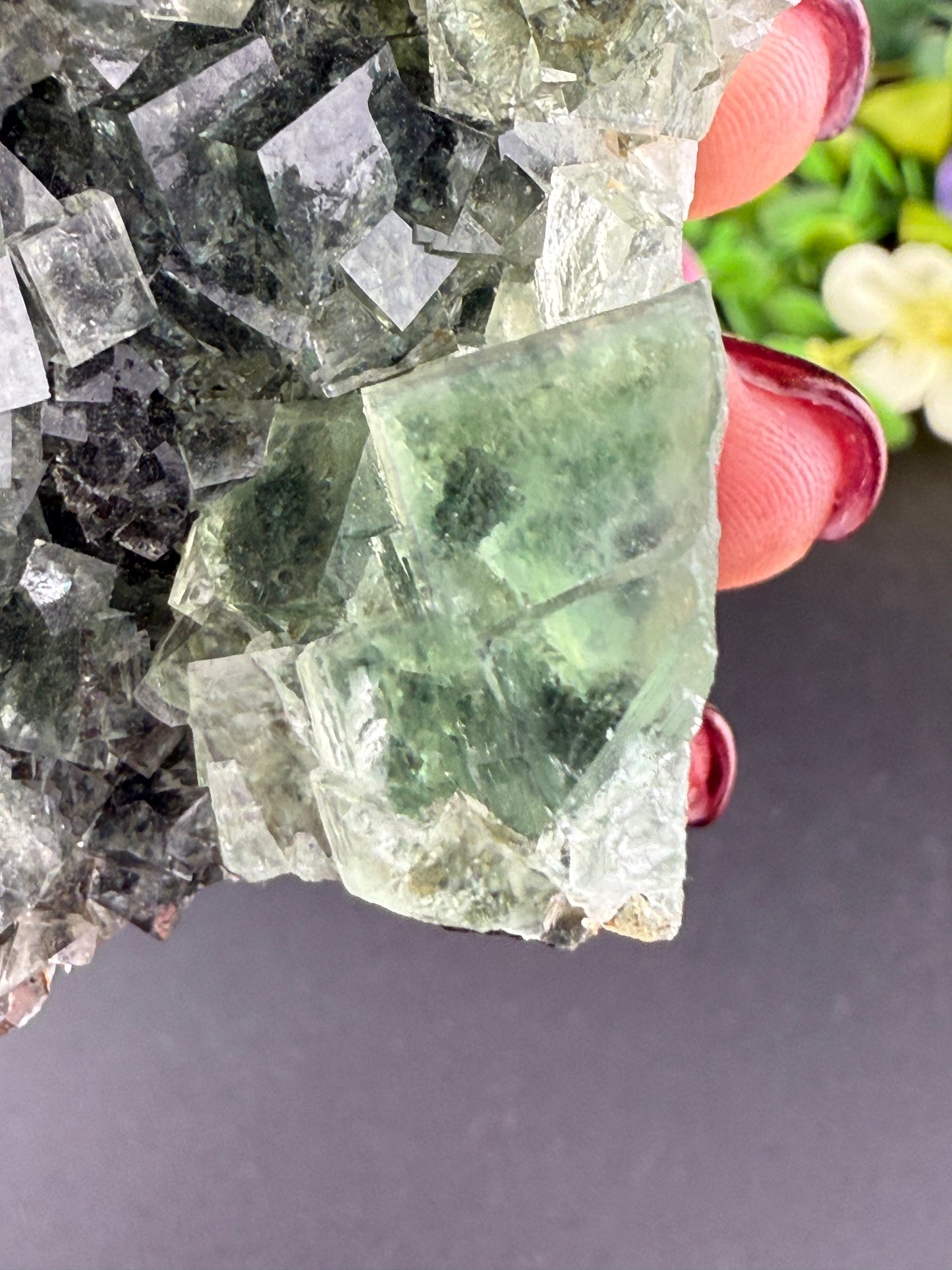 XHL Green Garden Fluorite