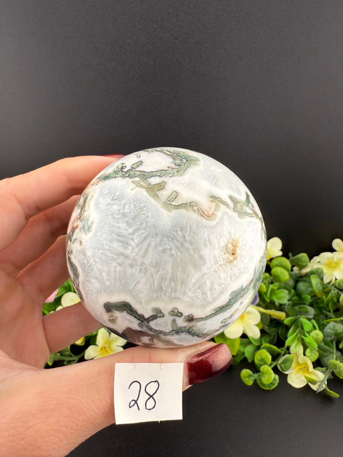 White Moss Agate Spheres